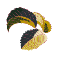 Illustration Other