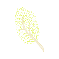 Illustration Other
