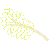 Illustration Other