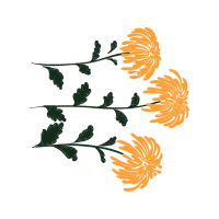 Illustration Other