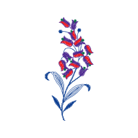 Illustration Other