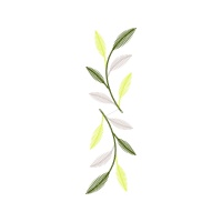 Illustration Other
