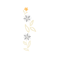 Illustration Other