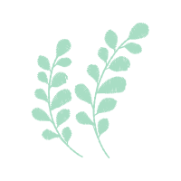 Illustration Other