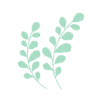 Illustration Other