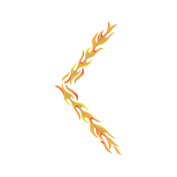 Illustration Other