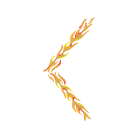 Illustration Other