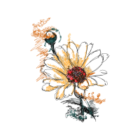 Illustration Other