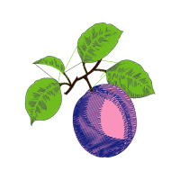 Illustration Other