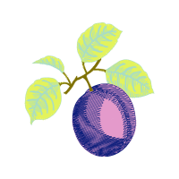 Illustration Other