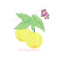 Illustration Other