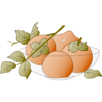 Illustration Other