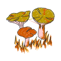Illustration Other