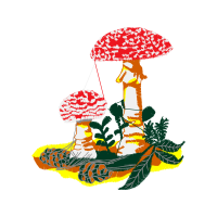 Illustration Other