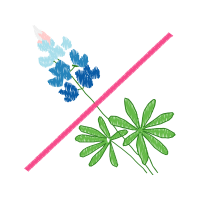 Illustration Other