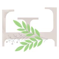Illustration Other