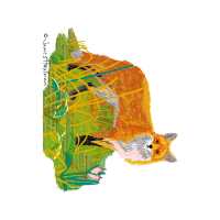 Illustration Other