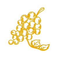Illustration Other