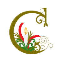 Illustration Other