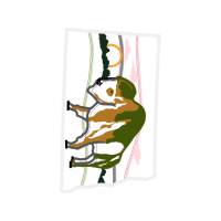 Illustration Other
