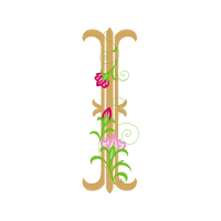 Illustration Other