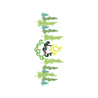 Illustration Other