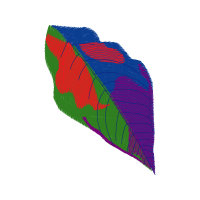 Illustration Other