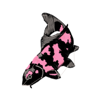 Illustration Other