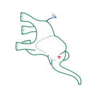 Illustration Other