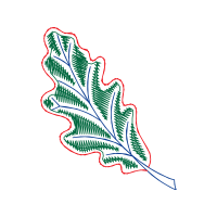Illustration Other