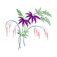 Illustration Other