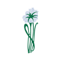 Illustration Other
