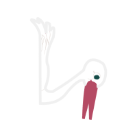 Illustration Other