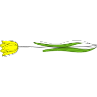 Illustration Other