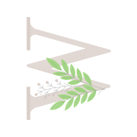 Illustration Other