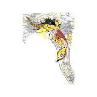 Illustration Other