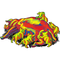 Illustration Other