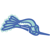 Illustration Other