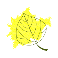 Illustration Other