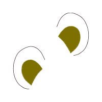 Illustration Other