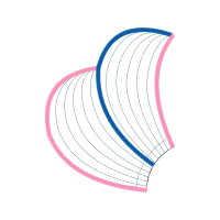 Illustration Other