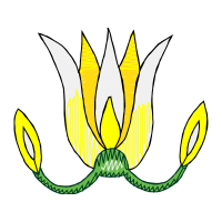 Illustration Other