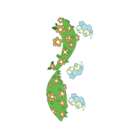 Illustration Other