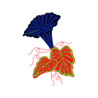 Illustration Other