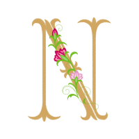 Illustration Other