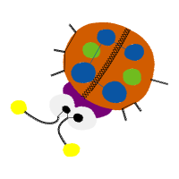 Illustration Other