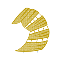 Illustration Other
