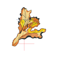 Illustration Other