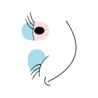 Illustration Other