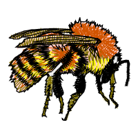 Illustration Other